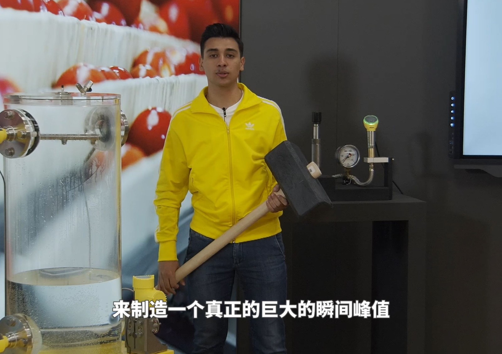 带有陶瓷测量元件的VEGA多款压力变送器在番茄加工中的各种测量应用